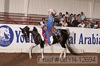 08yn-12694 proof