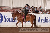 08yn-12696 proof