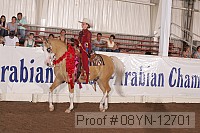08yn-12701 proof