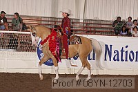 08yn-12703 proof