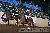 08yn-08855 proof
