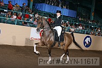 08yn-11617 proof