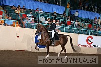 08yn-04564 proof