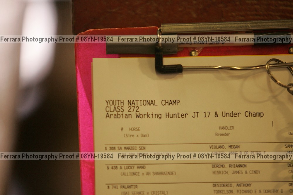Proof 08yn-19584