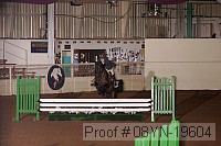 08yn-19604 proof