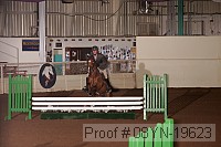 08yn-19623 proof