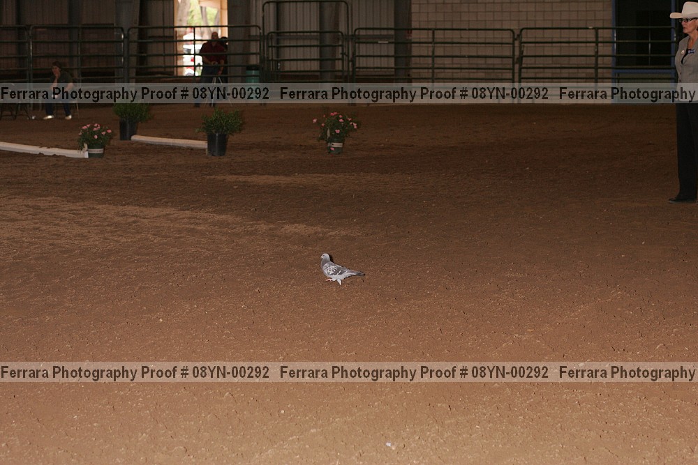 Proof 08yn-00292
