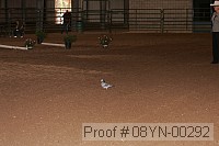 08yn-00292 proof