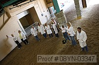 08yn-03347 proof