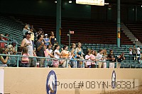 08yn-06381 proof