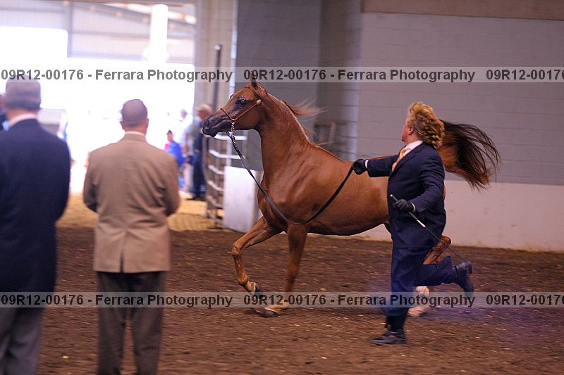 Proof 09r12-00176