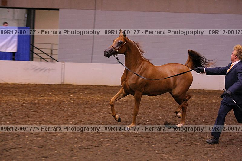Proof 09r12-00177