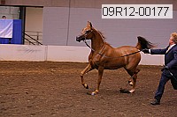 09r12-00177 proof