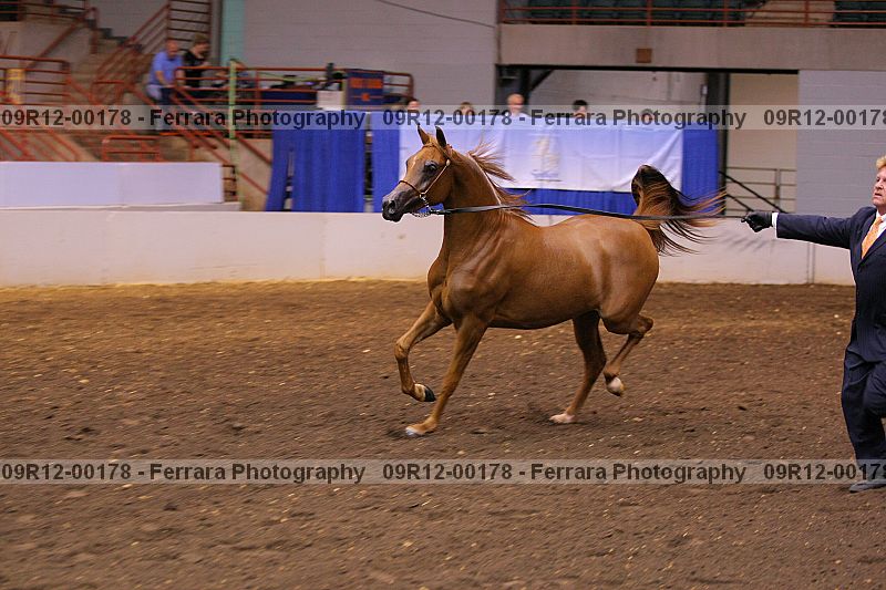 Proof 09r12-00178