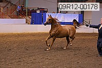 09r12-00178 proof