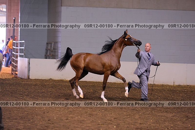 Proof 09r12-00180
