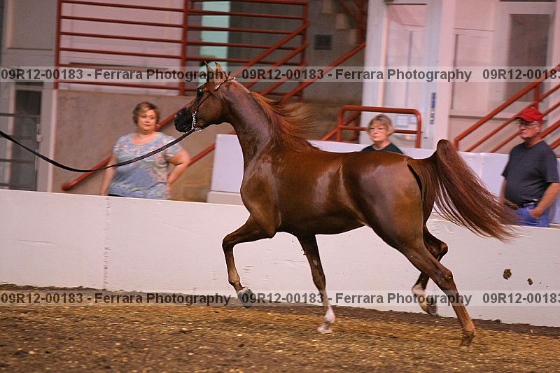 Proof 09r12-00183