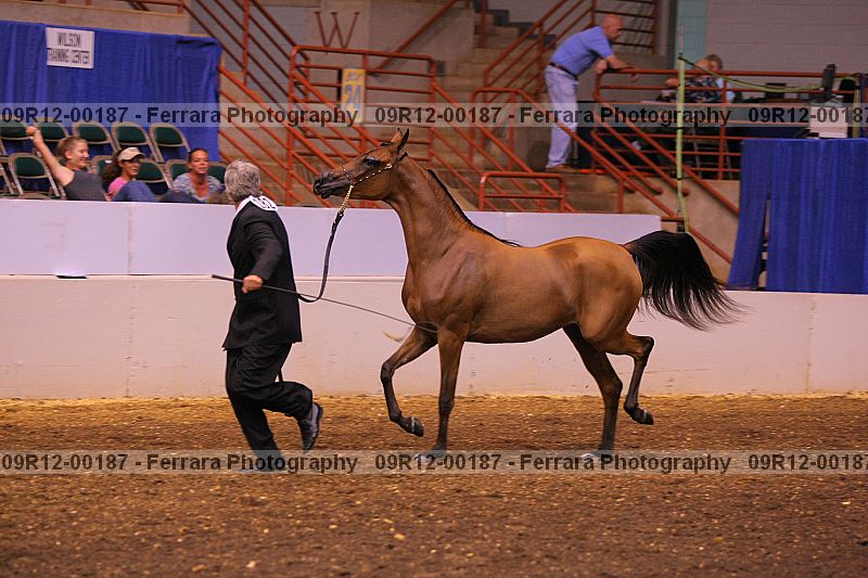 Proof 09r12-00187