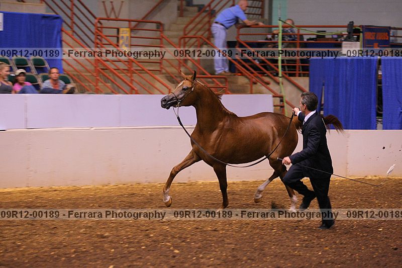Proof 09r12-00189