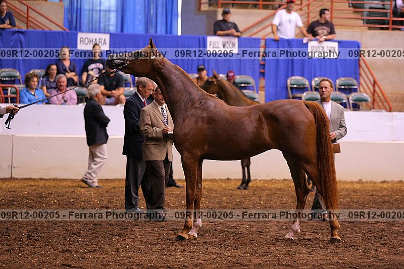 Proof 09r12-00205