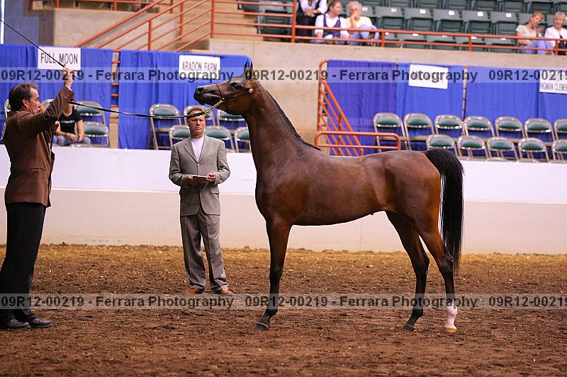 Proof 09r12-00219