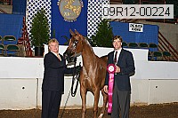 09r12-00224 proof