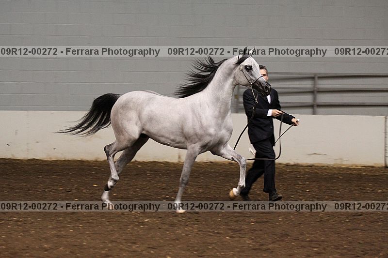 Proof 09r12-00272