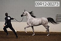 09r12-00273 proof