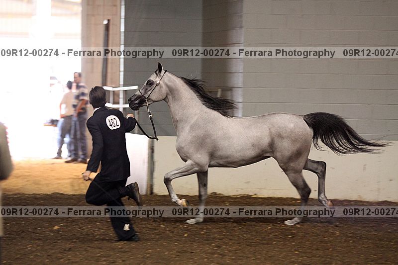 Proof 09r12-00274