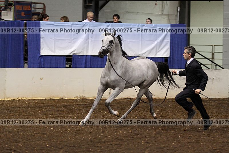 Proof 09r12-00275
