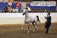 09r12-00276 proof