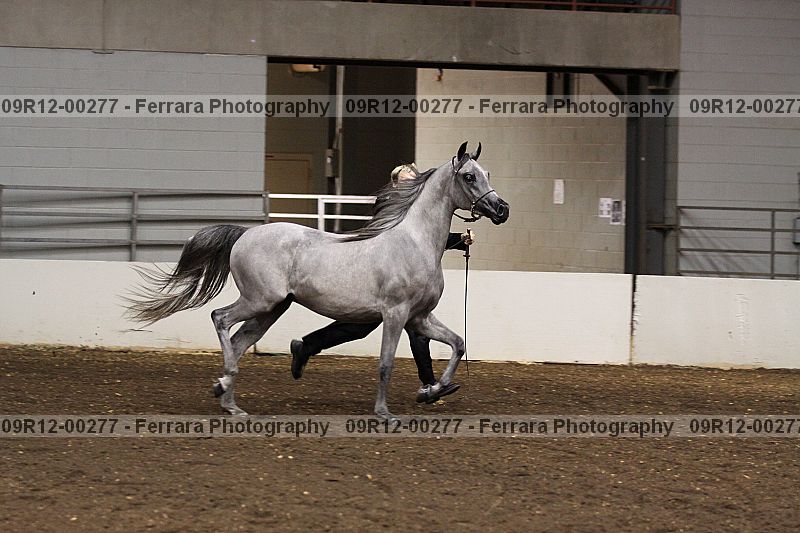Proof 09r12-00277