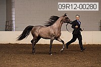 09r12-00280 proof