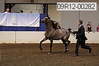 09r12-00282 proof