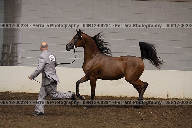 Proof 09r12-00284