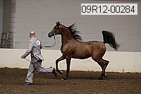 09r12-00284 proof