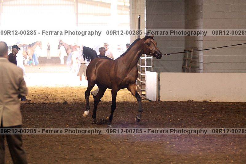Proof 09r12-00285