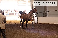 09r12-00285 proof