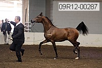 09r12-00287 proof