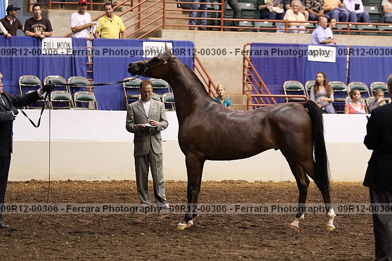 Proof 09r12-00306