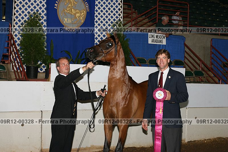 Proof 09r12-00328