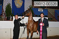 09r12-00328 proof