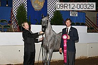 09r12-00329 proof