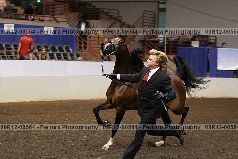 Proof 09r12-00564