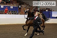 09r12-00564 proof