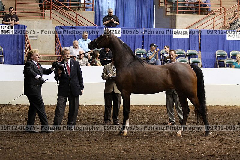 Proof 09r12-00575