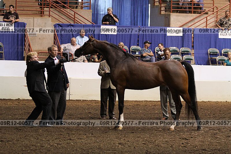 Proof 09r12-00577