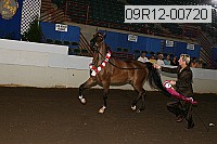 09r12-00720 proof