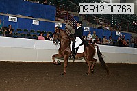 09r12-00766 proof