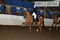09r12-00768 proof